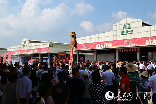 南宁江楠国际水果交易市场盛大开业