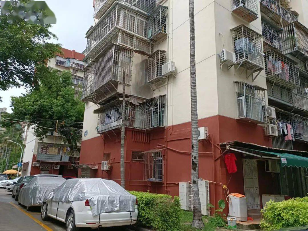 实踩:厦门岛内成交最火爆的老旧小区!_房源_小学_仙岳路