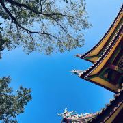 厦门仙岳山游玩攻略-仙岳山门票多少钱/价格表-团购票价预定优惠-景点地址在哪里/图片介绍/参观预约/旅游游览顺序攻略及注意事项/营业时间-【携程】