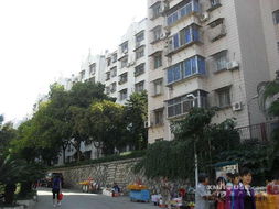 仙洞山庄2房1厅出租 湖里区优质学区房,南北通透中装实惠