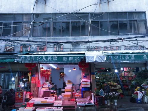 探访仙岳小学 老工厂里，装满了另一种厦门